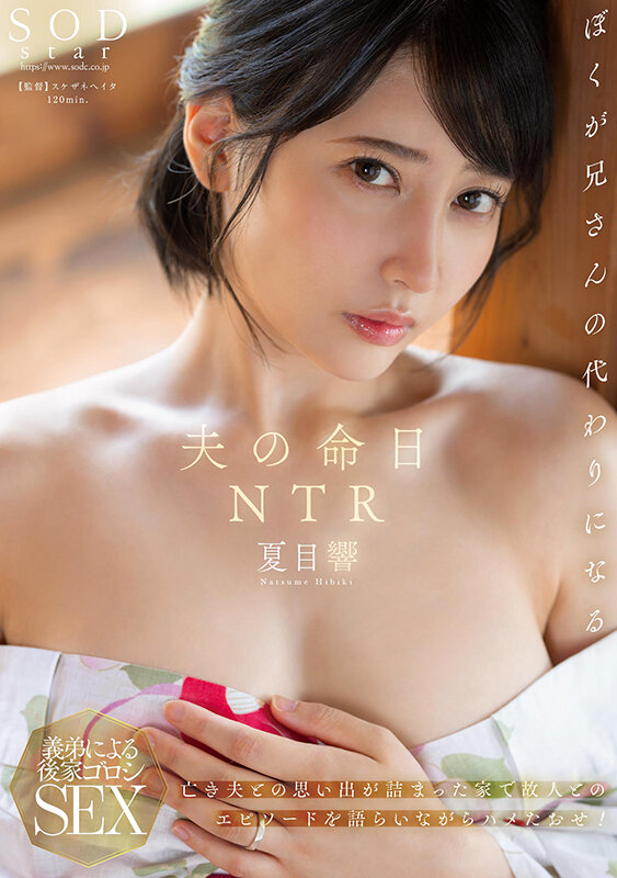 START-261-RM [Reducing Mosaic] Husband’s Anniversary NTR A House Full Of Memories Of The Late Husband Of The Late Husband